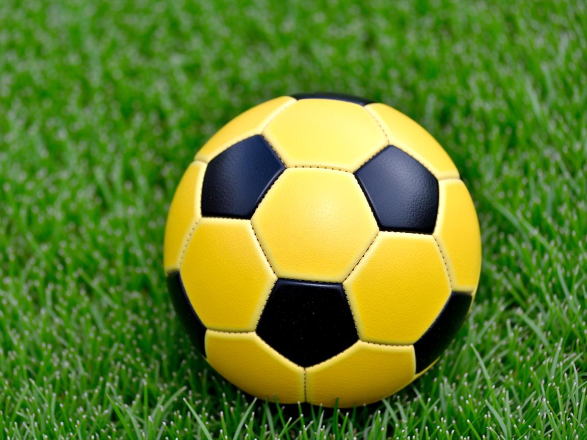 九游娱乐app官网-匈牙利苦战夺胜，小组出线前景一片光明  第3张