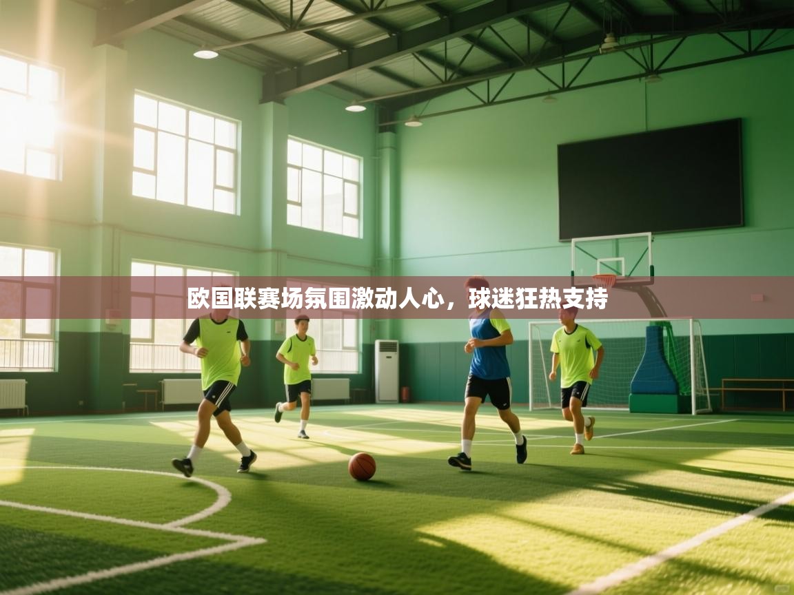 欧国联赛场氛围激动人心，球迷狂热支持  第2张